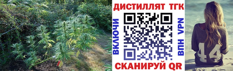 где купить Новоржев мега ТОР Дистиллят ТГК вейп с тгк