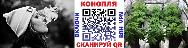 дарк нет телеграм Новоржев Бошки Шишки конопля